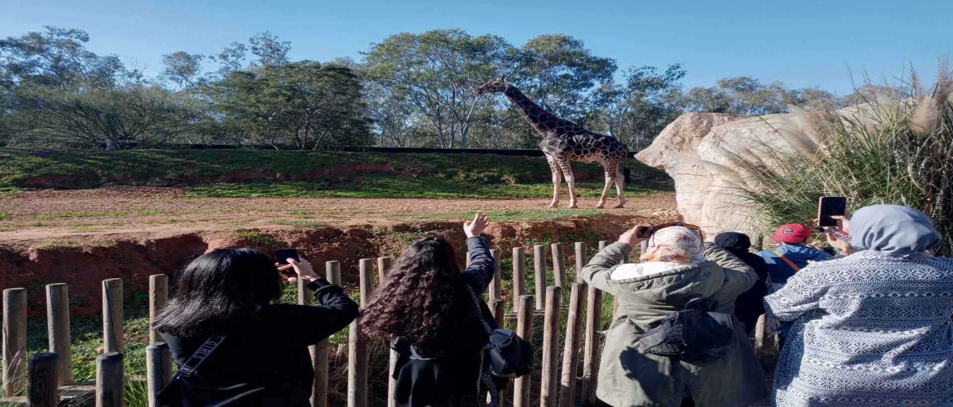 Exploration sauvage: Les Élèves de LeHo Souissi en immersion totale au Zoo National de Rabat!